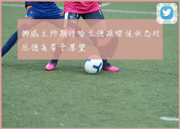挪威主帅期待哈兰德延续佳状态对厄德高寄予厚望